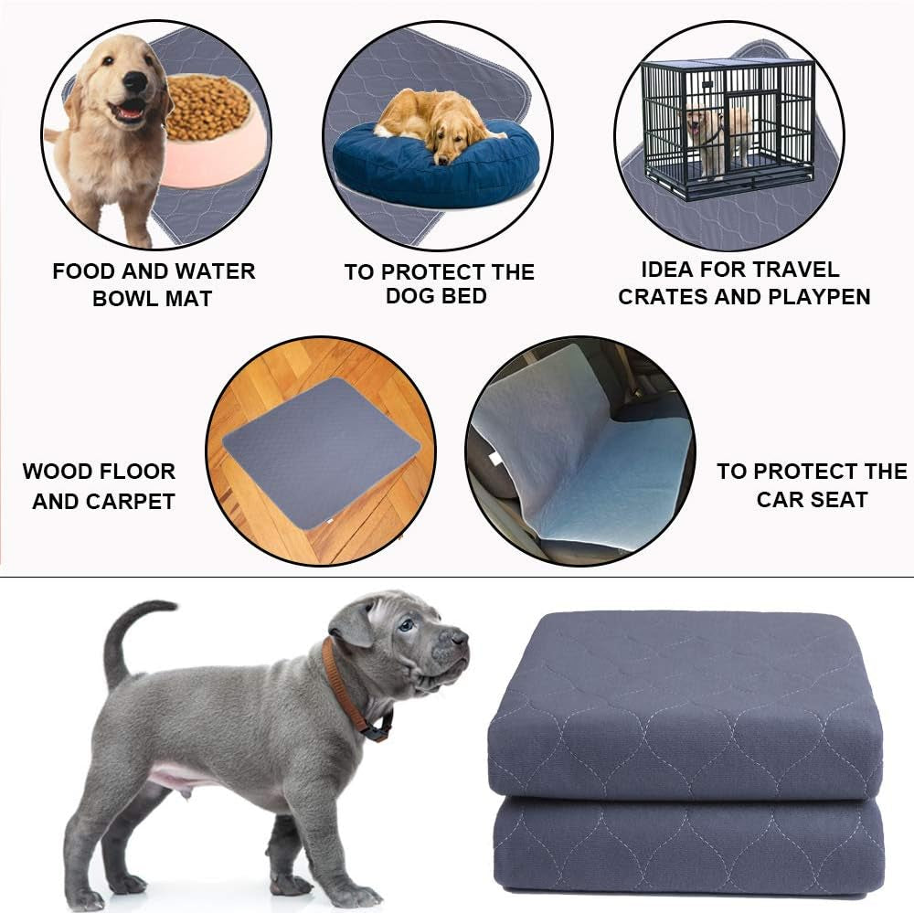 Say goodbye to messes with our Washable Dog Pee Pads! πΎ Plus, get FREE grooming gloves with your purchase! Perfect for potty training puppies, kitties, and even bunnies! πΆπ±π° #PetCare #EcoFriendly